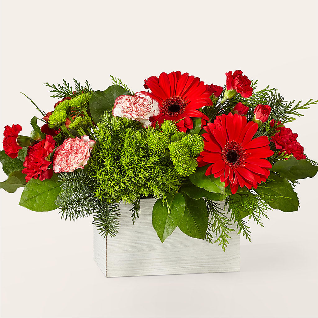 El Ramo de Rodolfo
