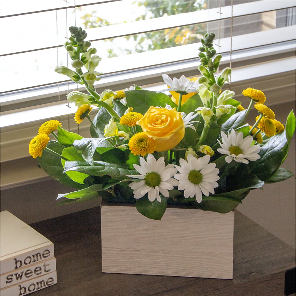 Sun Salutation Box Bouquet –  Enid Floral And Gifts, Enid OK