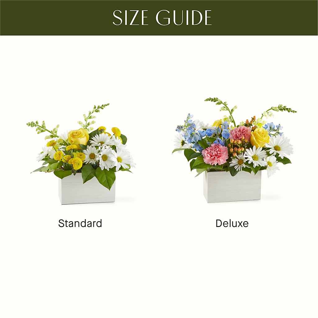 Sun Salutation Box Bouquet –  Enid Floral And Gifts, Enid OK