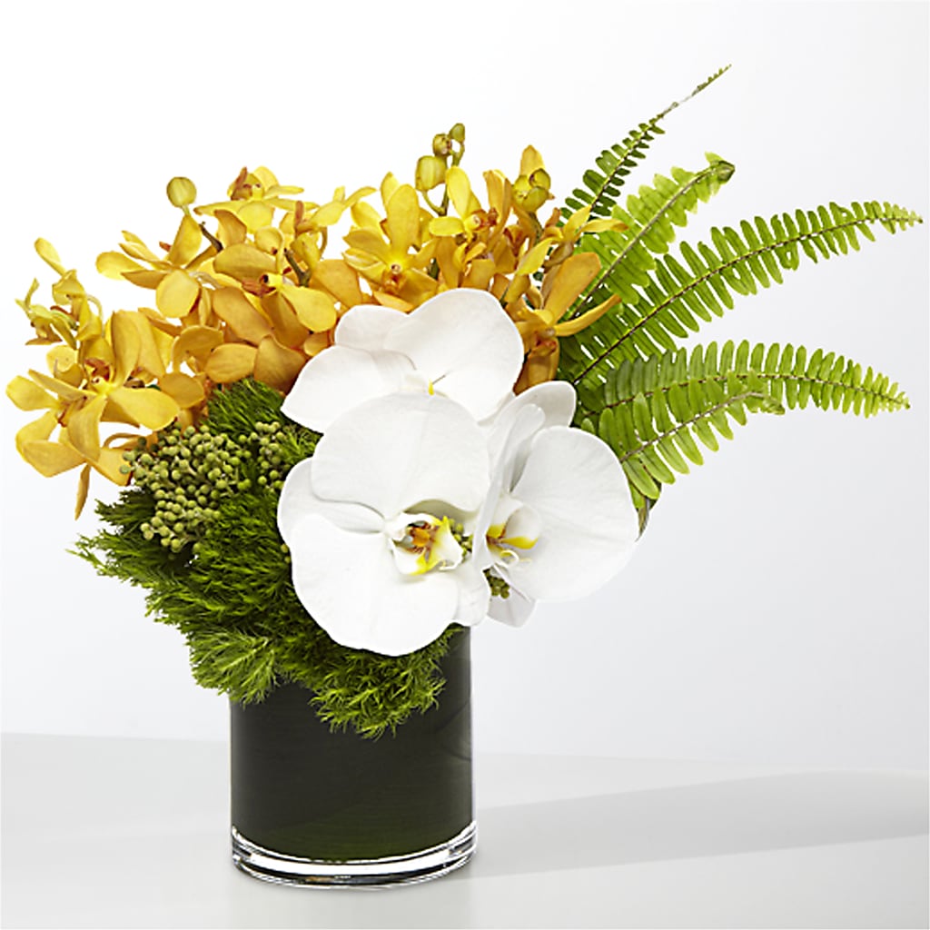 The Tropics –  Enid Floral And Gifts, Enid OK
