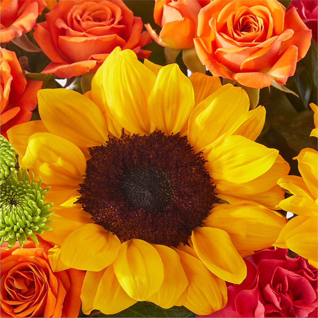Sun-drenched Blooms Box Bouquet –  Enid Floral And Gifts, Enid OK