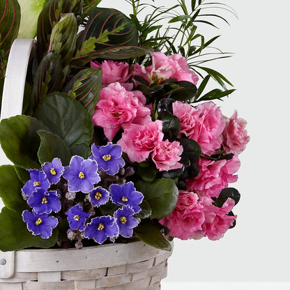 Peaceful Garden Planter –  Enid Floral And Gifts, Enid OK