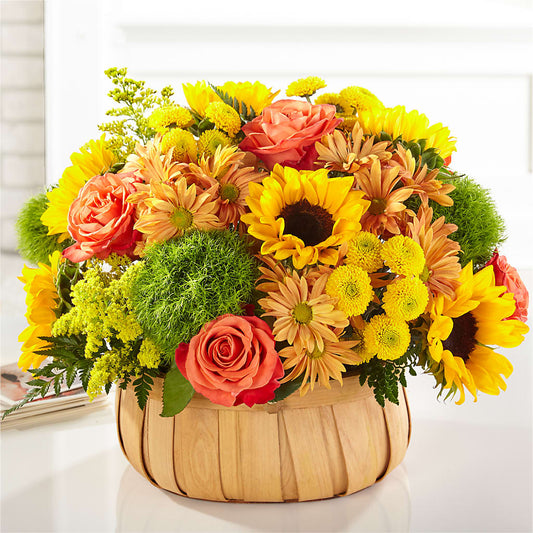 Harvest Sunflower Basket –  Enid Floral And Gifts, Enid OK