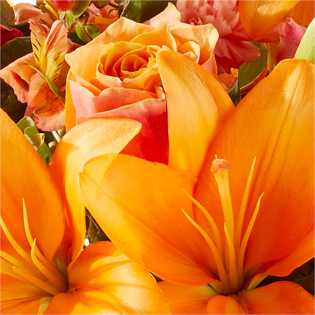 Afternoon Light Bouquet –  Enid Floral And Gifts, Enid OK