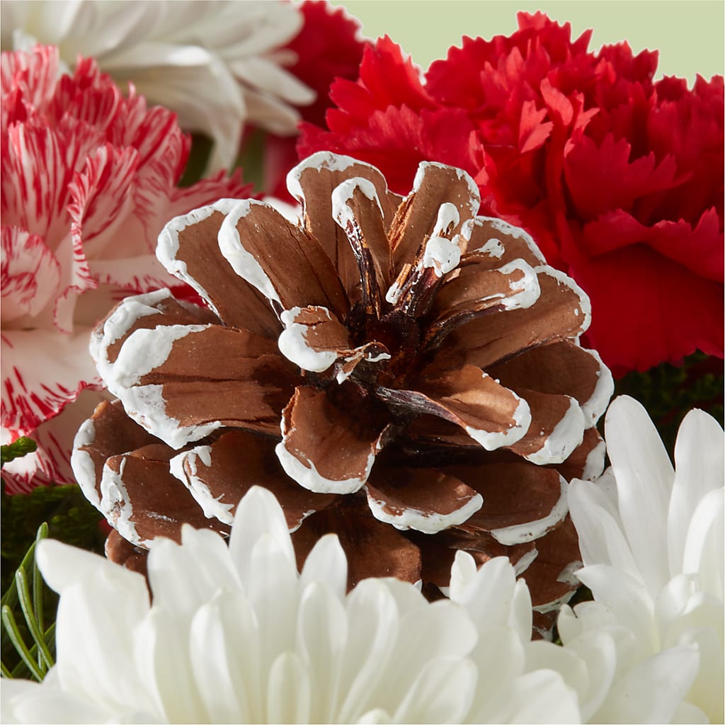 Candy Cane Lane Bouquet –  Enid Floral And Gifts, Enid OK
