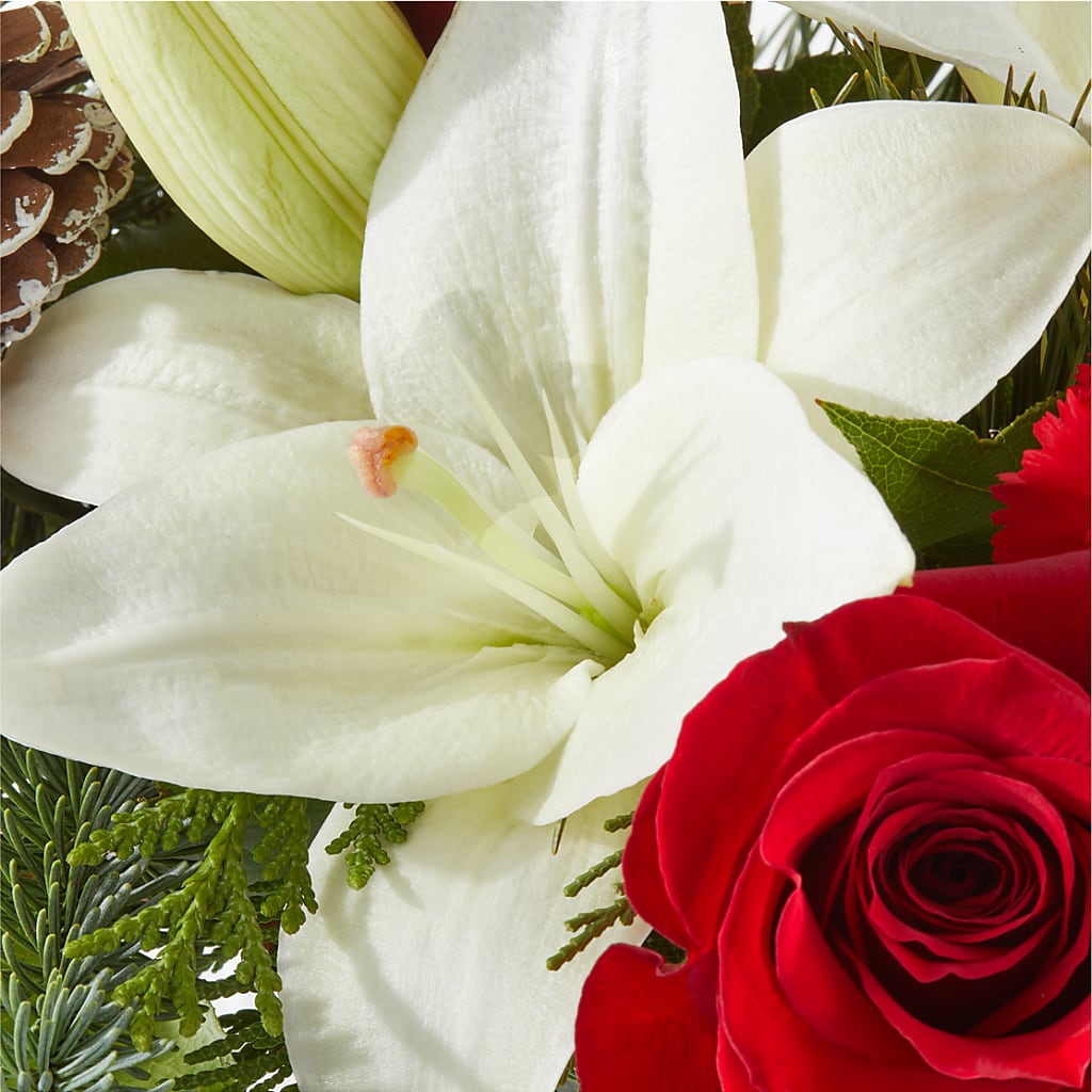 Oh So Jolly Bouquet –  Enid Floral And Gifts, Enid OK