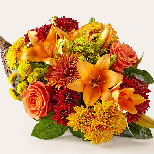 Festín de la Cornucopia de Colores