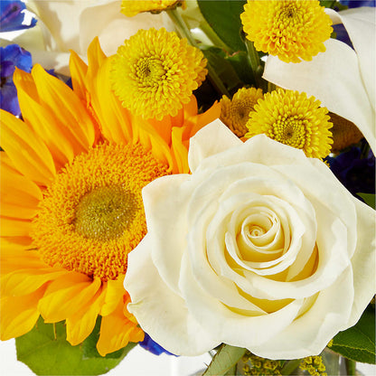 Stargazing Bouquet –  Enid Floral And Gifts, Enid OK