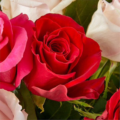 Charming Rose Bouquet –  Enid Floral And Gifts, Enid OK