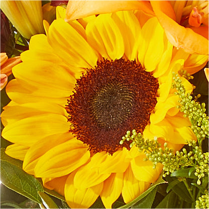Seasons Change Bouquet –  Enid Floral And Gifts, Enid OK