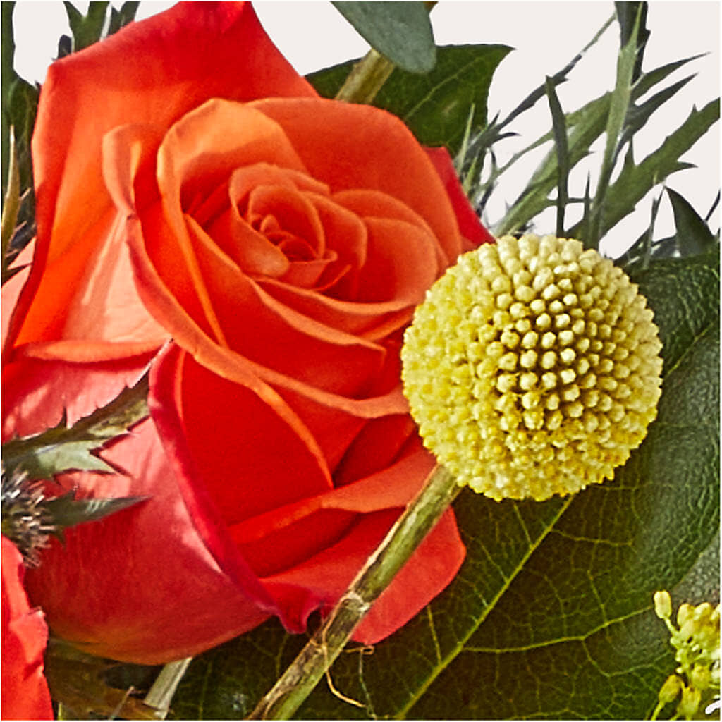 Disco Bouquet –  Enid Floral And Gifts, Enid OK