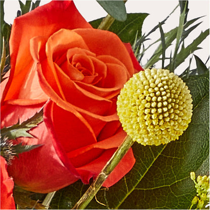 Disco Bouquet –  Enid Floral And Gifts, Enid OK