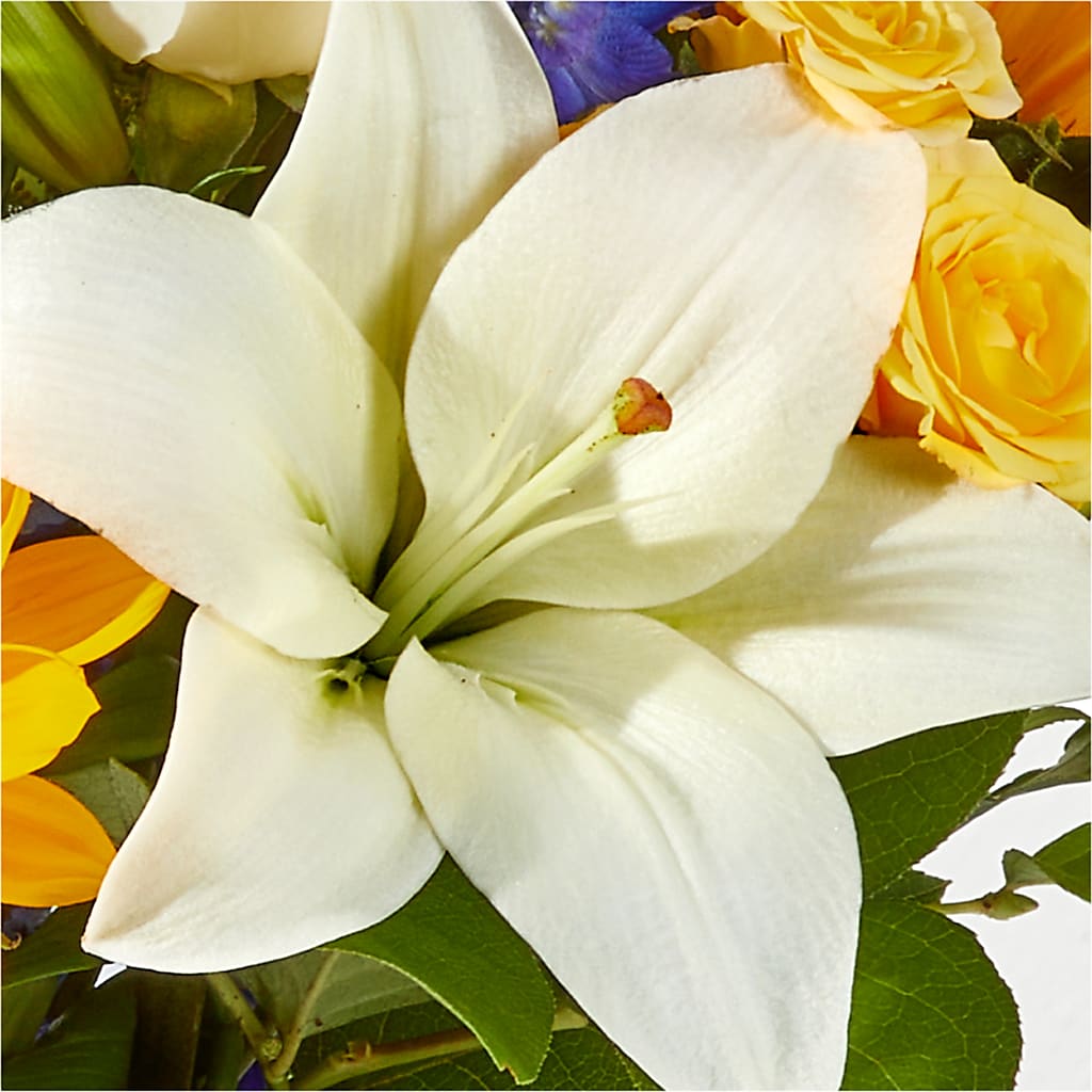 Wonderfully Sunny Bouquet –  Enid Floral And Gifts, Enid OK