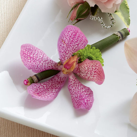 Boutonnière de Mokara rosa