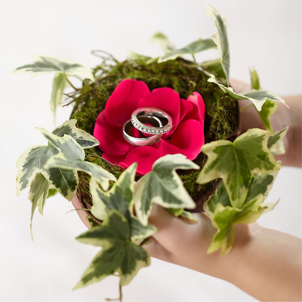 Nid de bague Lila Rose
