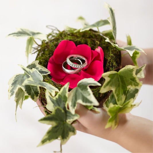Nido de Anillo Lila Rosa