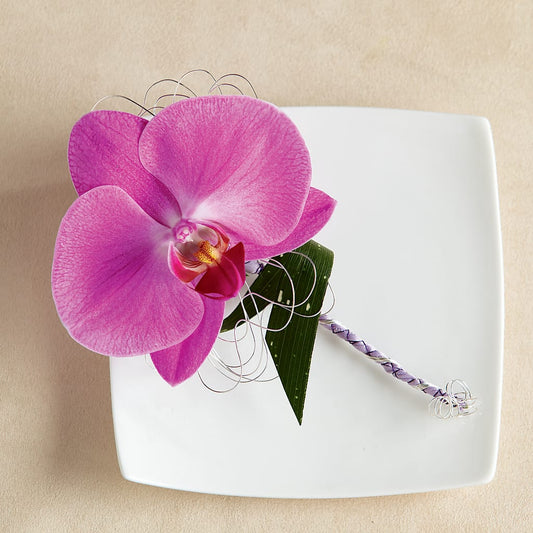 Botonera gloriosa